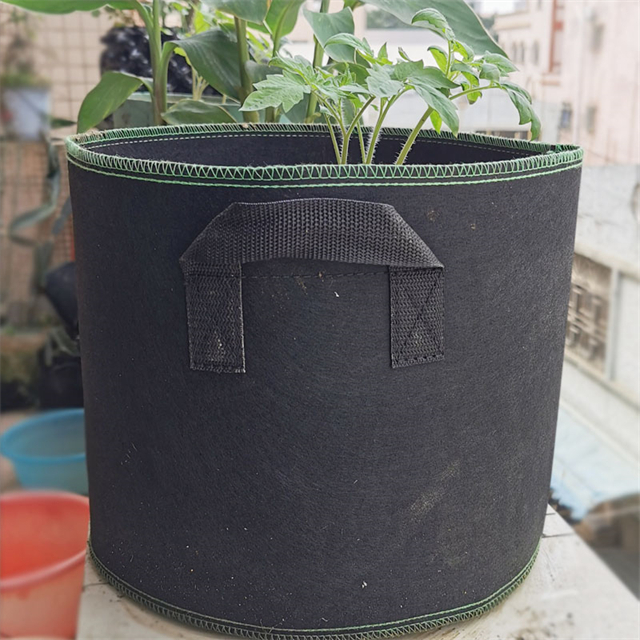 植物种植袋13